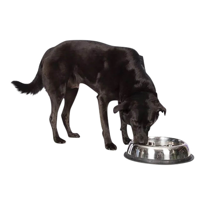 Stainless Steel Dog Bowl