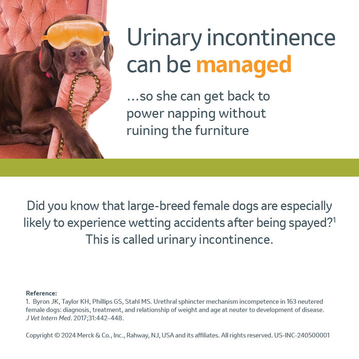 Rx Incurin, tabletas de 1 mg