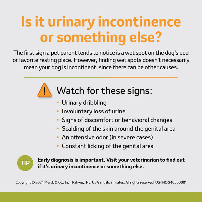 Rx Incurin, tabletas de 1 mg