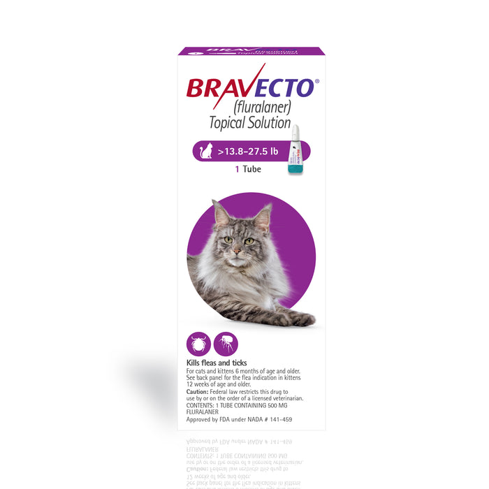 Rx BRAVECTO Tópico, Felino