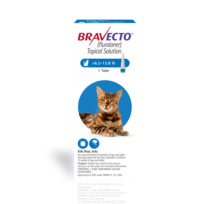 Rx BRAVECTO Tópico, Felino