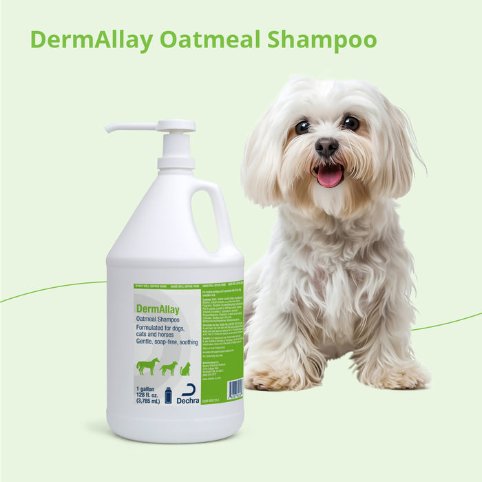 DermAllay Oatmeal Shampoo for Dogs, Cats & Horses