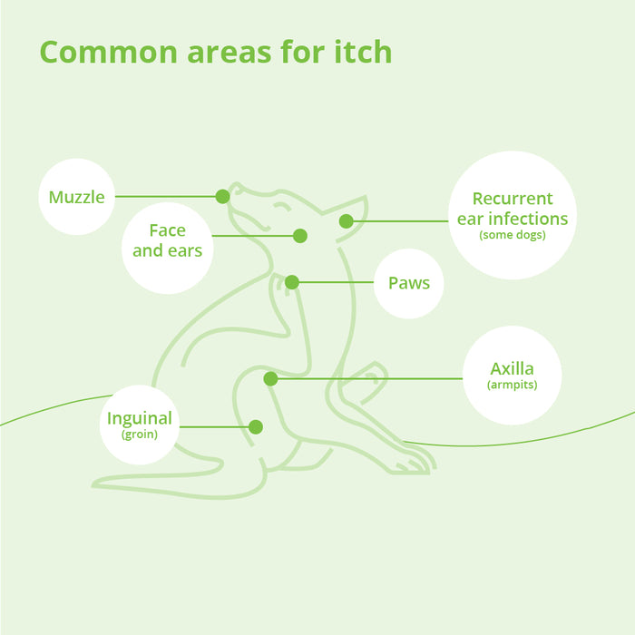 Acondicionador en aerosol de avena DermAllay
