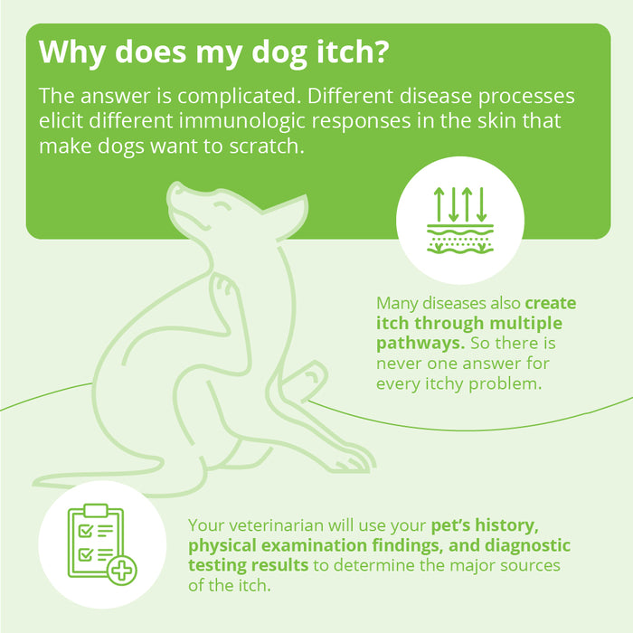 Acondicionador en aerosol de avena DermAllay