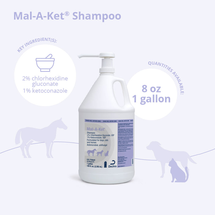 Mal-A-Ket Medicated Ketoconazole Chlorhexidine Shampoo for Horses, Dogs & Cats