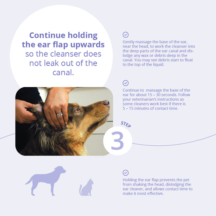 TrizULTRA+KETO Flush