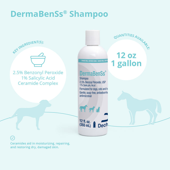 Champú DermaBenSs para perros, gatos y caballos