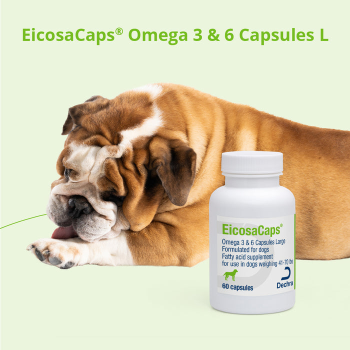 EicosaCaps Omega 3 & 6 for Dogs and Cats