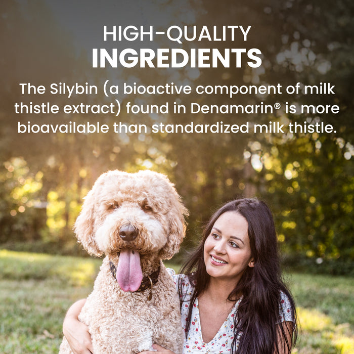 Nutramax Denamarin Liver Health Tablets for Dogs and Cats