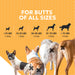 Nutramax Filaquin Anal Gland Supplement for Dogs, From the Makers of Proviable, with a Fiber Blend, Prebiotics, and Postbiotics for Digestive Health Support, 90 Count Soft Chews Size 90