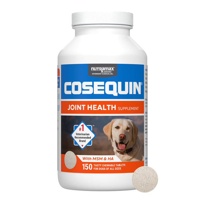 Nutramax Cosequin Maximum Strength Joint Health Plus MSM & Ha Supplement for Dogs