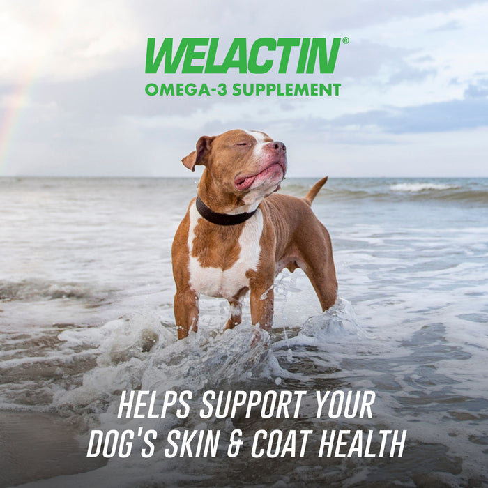 Nutramax Welactin Daily Omega-3 Supplement For Dogs, 60 Soft Chews