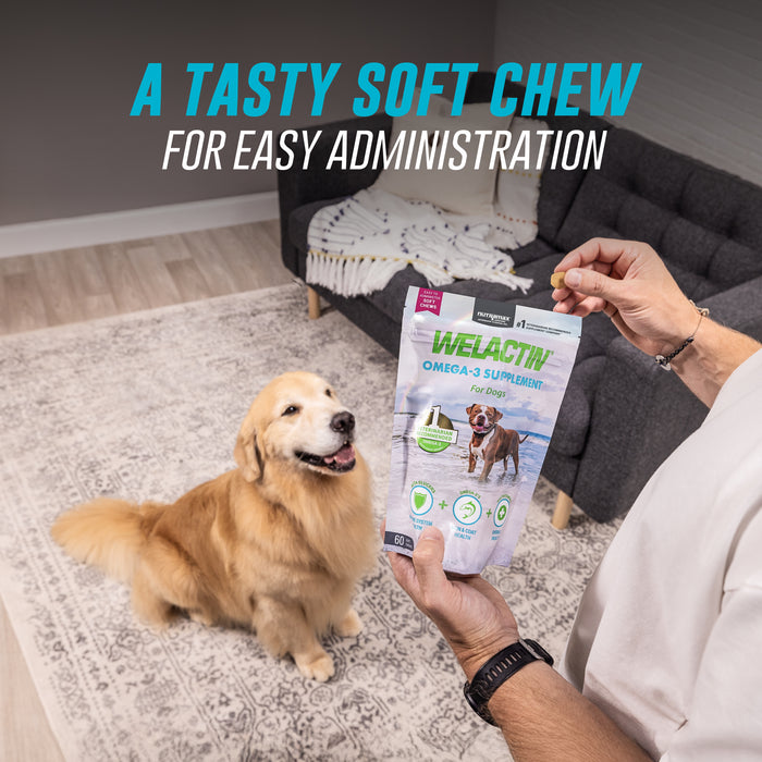 Nutramax Welactin Daily Omega-3 Supplement For Dogs, 60 Soft Chews