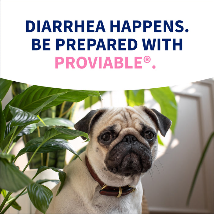 Nutramax Proviable-KP/DC Kit for Dogs and Cats, 10 Capsules