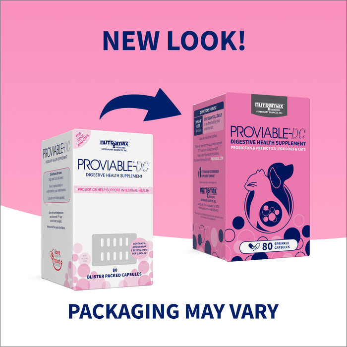 Nutramax Proviable-DC Capsules for Dogs & Cats