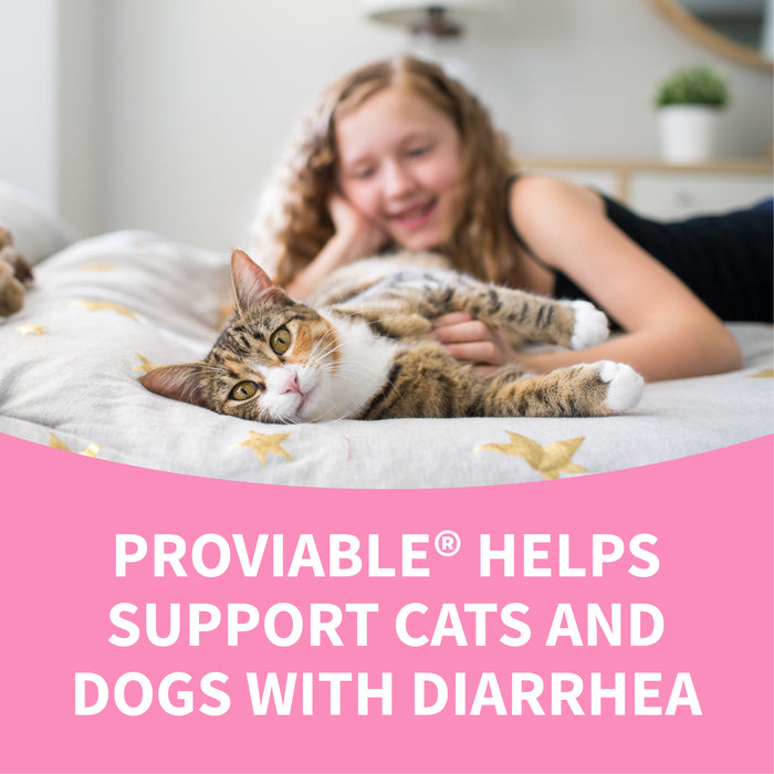 Nutramax Proviable-DC Capsules for Dogs & Cats