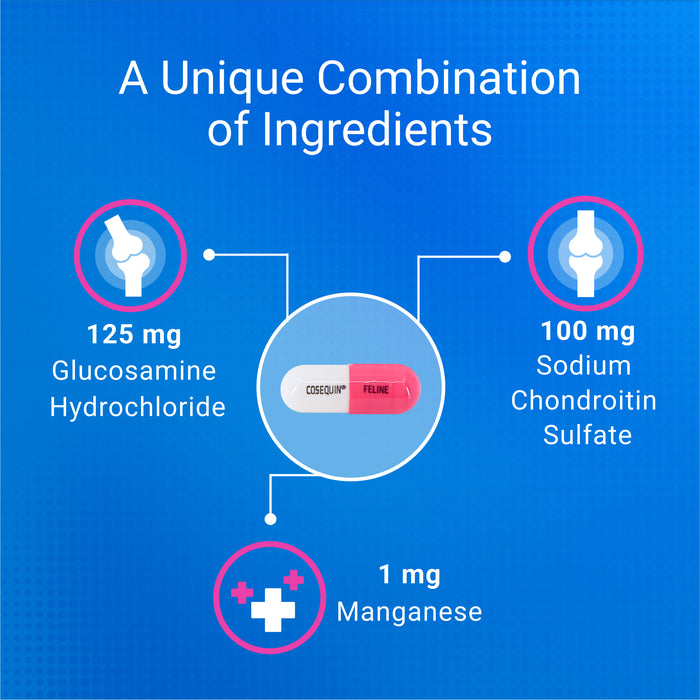 Suplemento para la salud de las articulaciones de gatos Nutramax Cosequin, con glucosamina y condroitina, 80 cápsulas