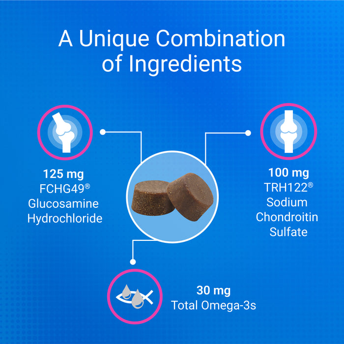 Suplemento para la salud de las articulaciones de gatos Nutramax Cosequin: con glucosamina, condroitina y omega 3