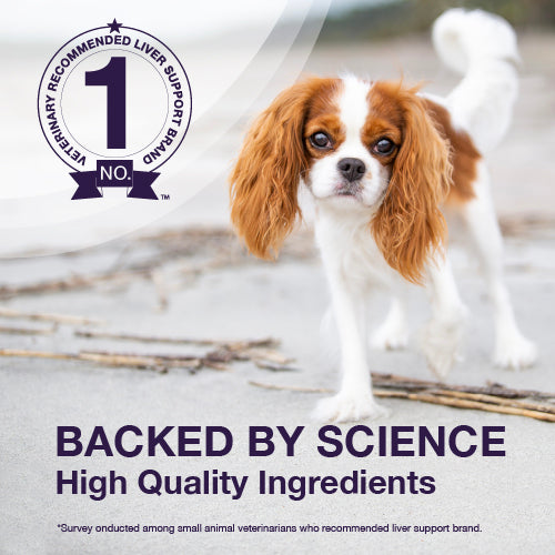 Nutramax Denamarin Liver Health, Chewable Tablets