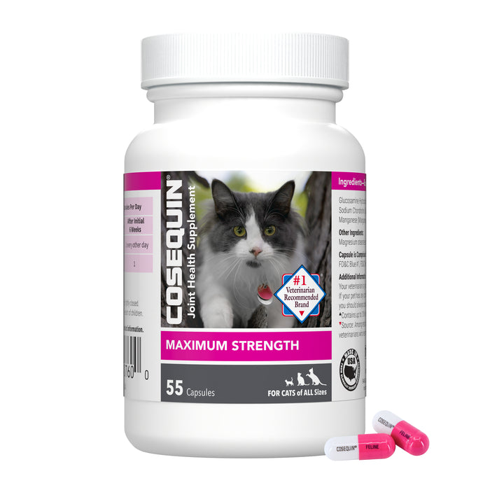 Nutramax Cosequin Maximum Strength Joint Supplement for Cats