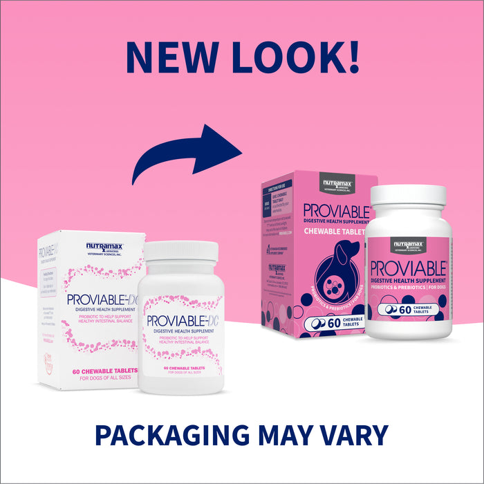 Tabletas masticables Proviable-DC para perros, 60 unidades