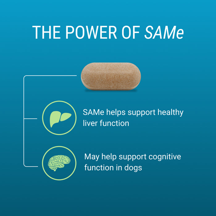 Nutramax Denosyl Liver and Brain Health Supplement