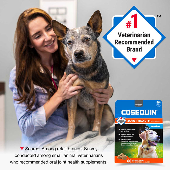 Nutramax Cosequin Senior Joint Health Supplement for Senior Dogs