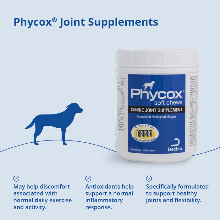 Masticables blandos para el apoyo de las articulaciones caninas Phycox