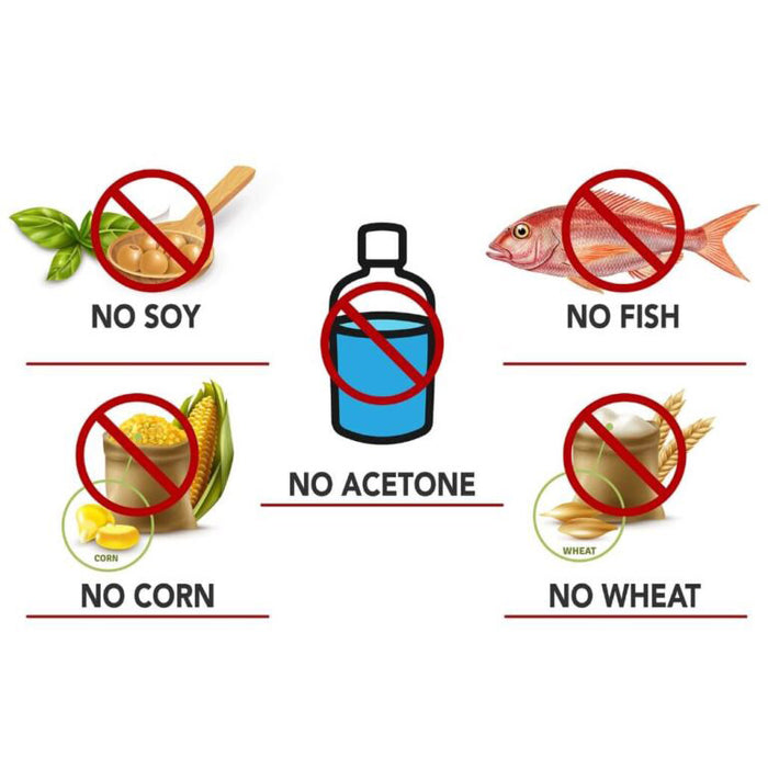 PETIZYME Digestive Aid Powder for Dogs and Cats, 12 oz