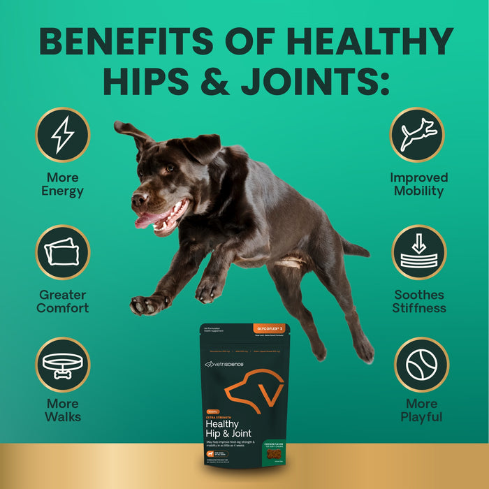 Glyco Flex 3 Joint Support for Dogs, 120 Bite Sized Chews