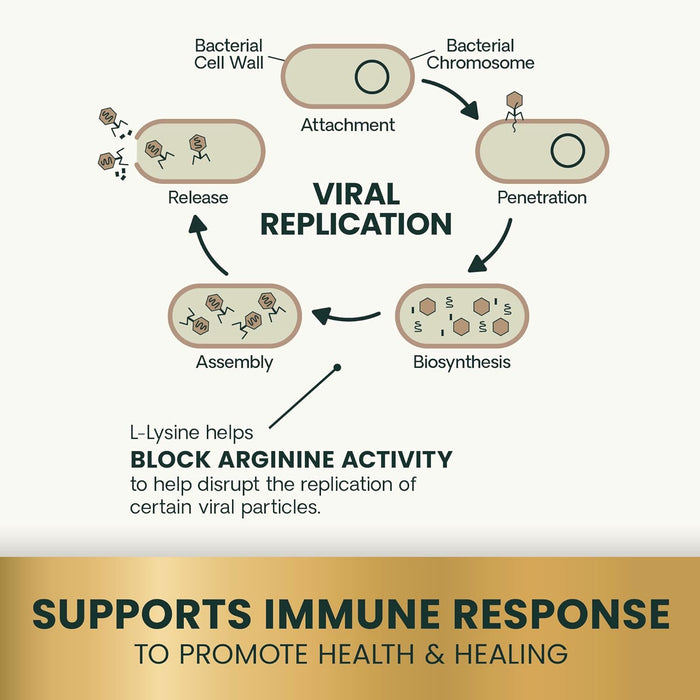 Vetri Lysine Plus para gatos, 120 comprimidos masticables del tamaño de un bocado