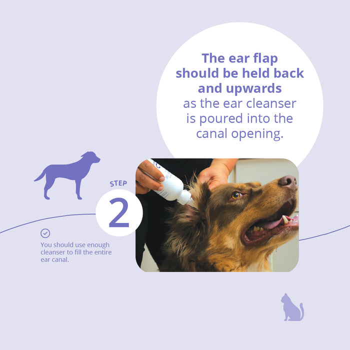 Malaseb Flush 12oz Size 12oz