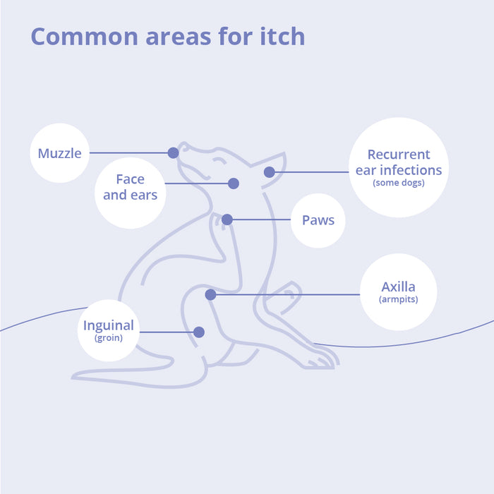 Miconahex+Triz Medicated Antimicrobial Spray Conditioner for Dogs, Cats, and Horses