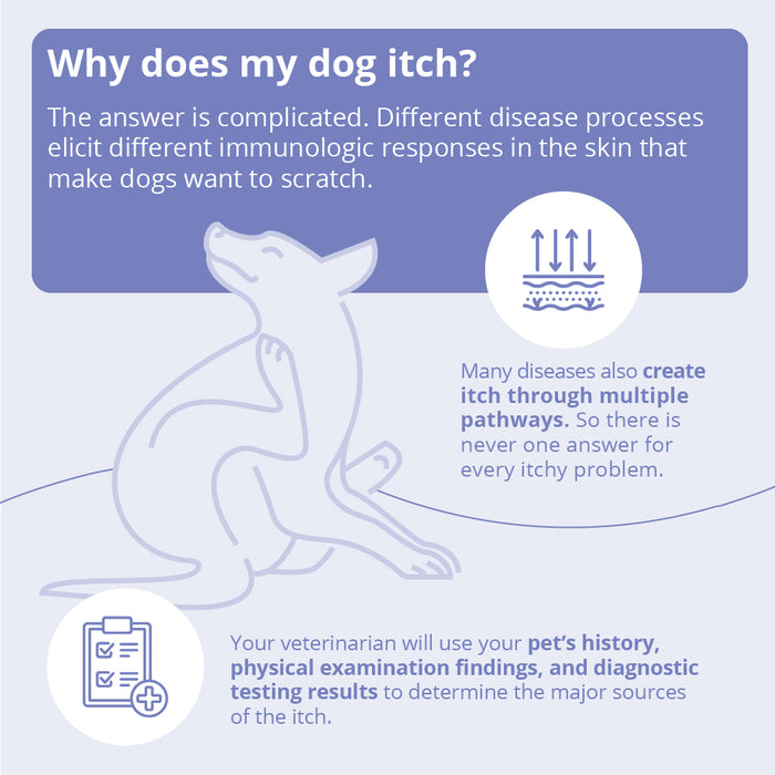 Miconahex+Triz Medicated Antimicrobial Spray Conditioner for Dogs, Cats, and Horses