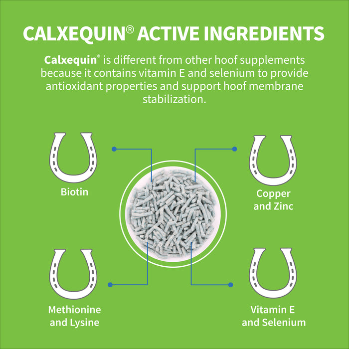 Nutramax Cosequin Calxequin Pellets Daily Hoof Support for Horses, 1260 Grams