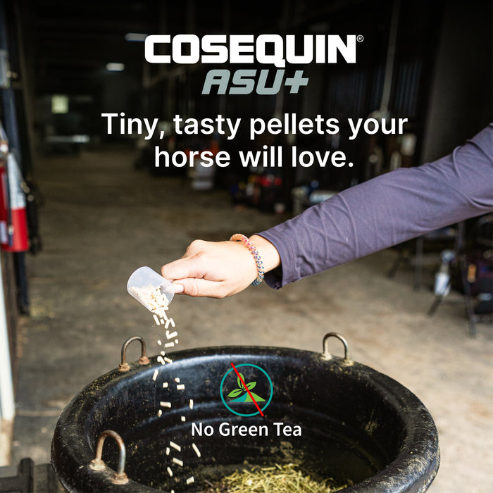 Cosequin Equine ASU Plus Pellets, 1050 Grams Size 1050g