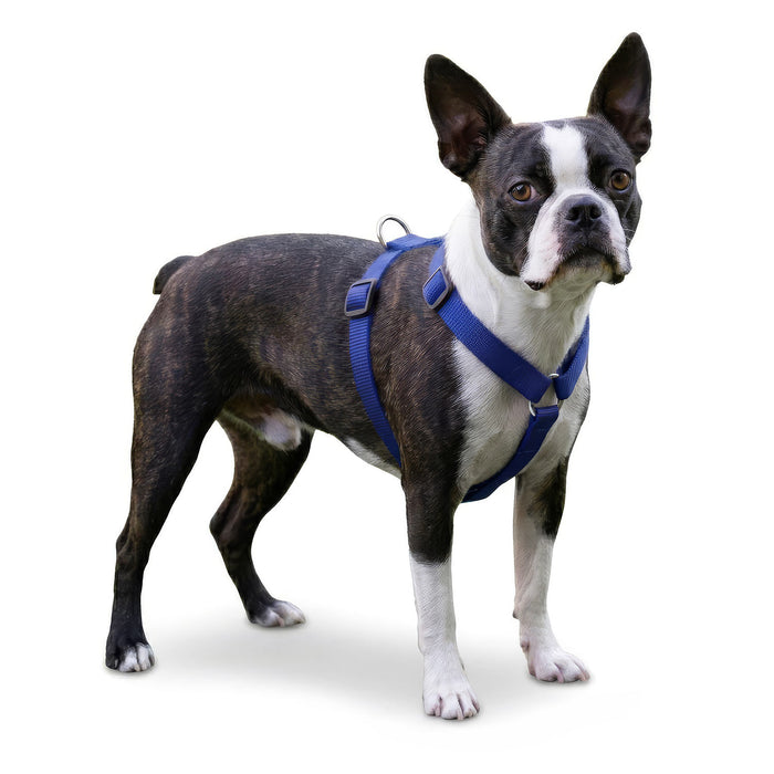 Jeffers Adjustable Nylon Dog Harness