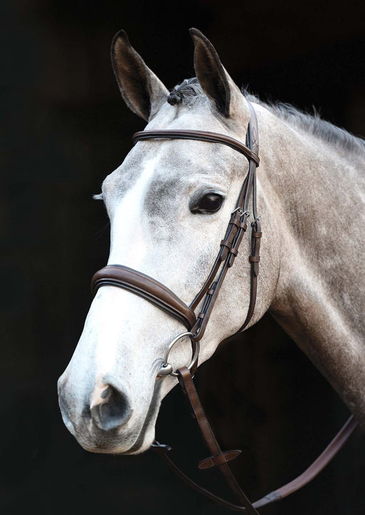 Collegiate Mono Crown Padded Raised Cavesson Bridle - Brown Oversized 