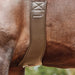 Collegiate Anatomic Girth, Brown - 42 in  