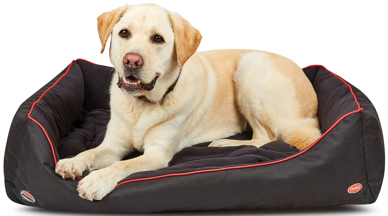 WeatherBeeta TherapyTec Dog Bed - Large WeatherBeeta TherapyTec Dog Bed  