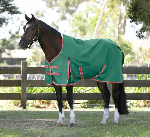 WeatherBeeta ComFITec Prelim Standard Neck Horse Turnout Blanket, Medium Weight - 78 in  