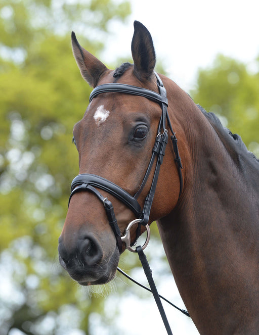 Kincade Leather Padded Flash Horse Bridle - Black Full 