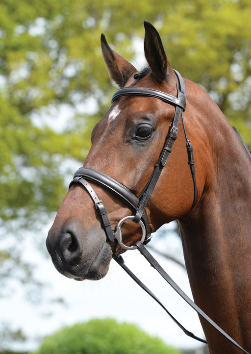 Kincade Leather Padded Flash Horse Bridle - Brown Cob 