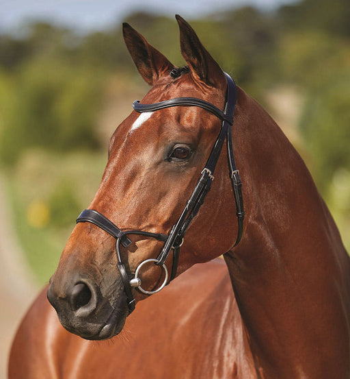 Collegiate ComFITec Training Bridle - Black Cob 