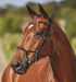 Collegiate ComFITec Training Bridle - Black Cob 