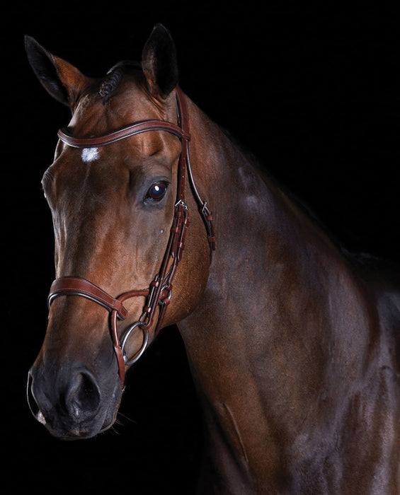 Collegiate ComFITec Training Bridle - Brown Full 