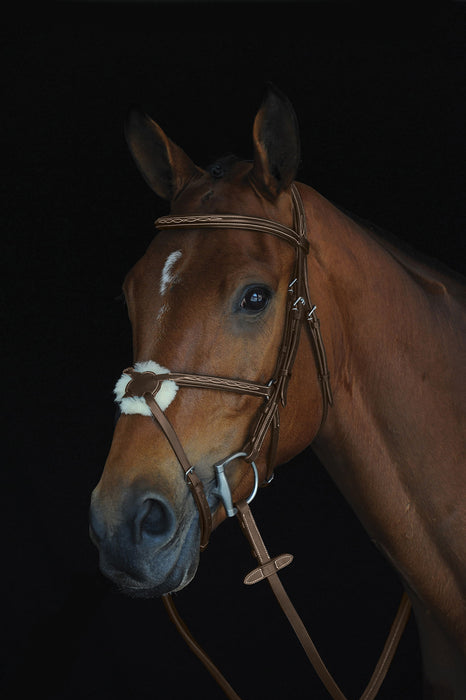 Collegiate Mono Crown Figure 8 Bridle, Brown - Full  