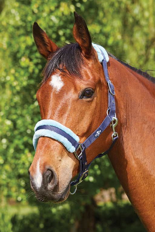 Weatherbeeta Saxon Element Fleece Halter, Full Size - Navy/Mint  