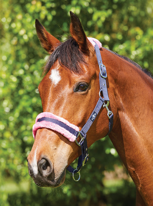 Weatherbeeta Saxon Element Fleece Halter, Full Size - Navy/Pink  