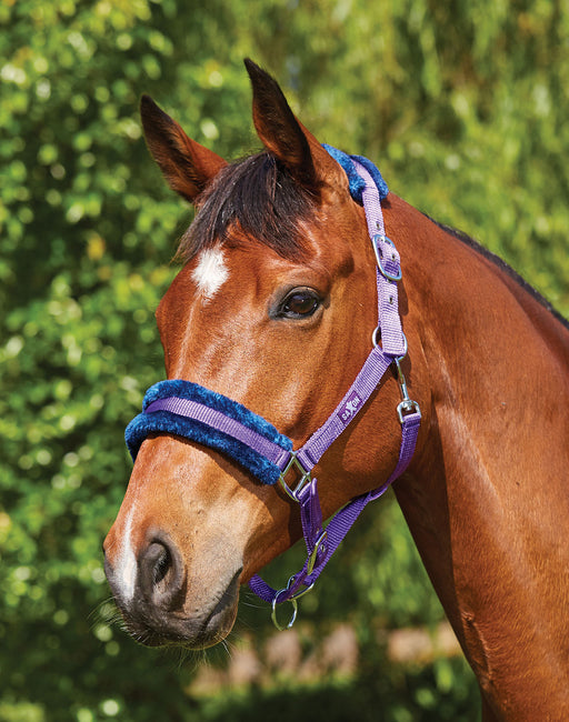 Weatherbeeta Saxon Element Fleece Halter, Full Size - Purple/Navy  